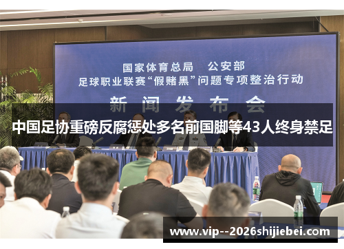 中国足协重磅反腐惩处多名前国脚等43人终身禁足 中国足协重磅反腐惩处多名前国脚等43人终身禁足